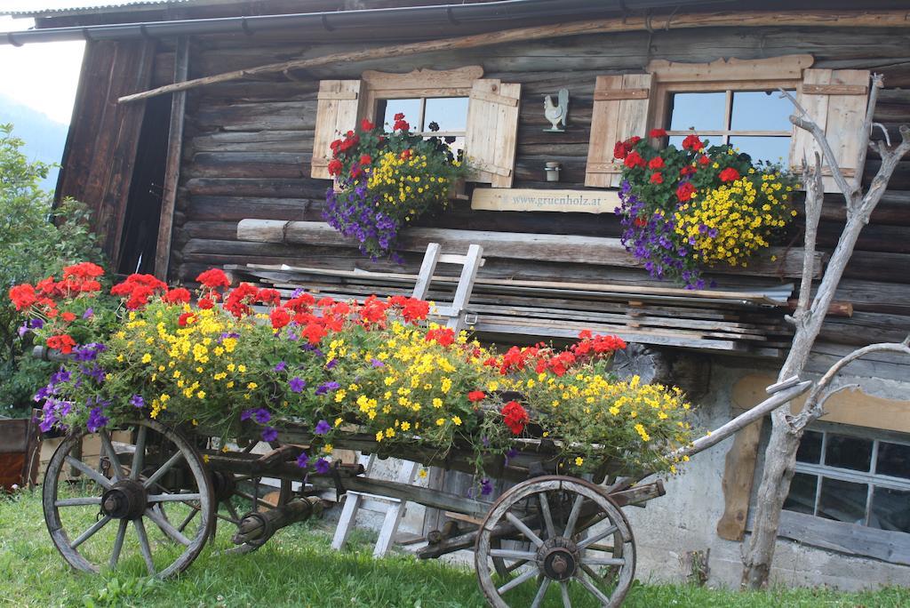 Muehlbach Alpendomizil II Mühlbach am Hochkönig Exterior foto